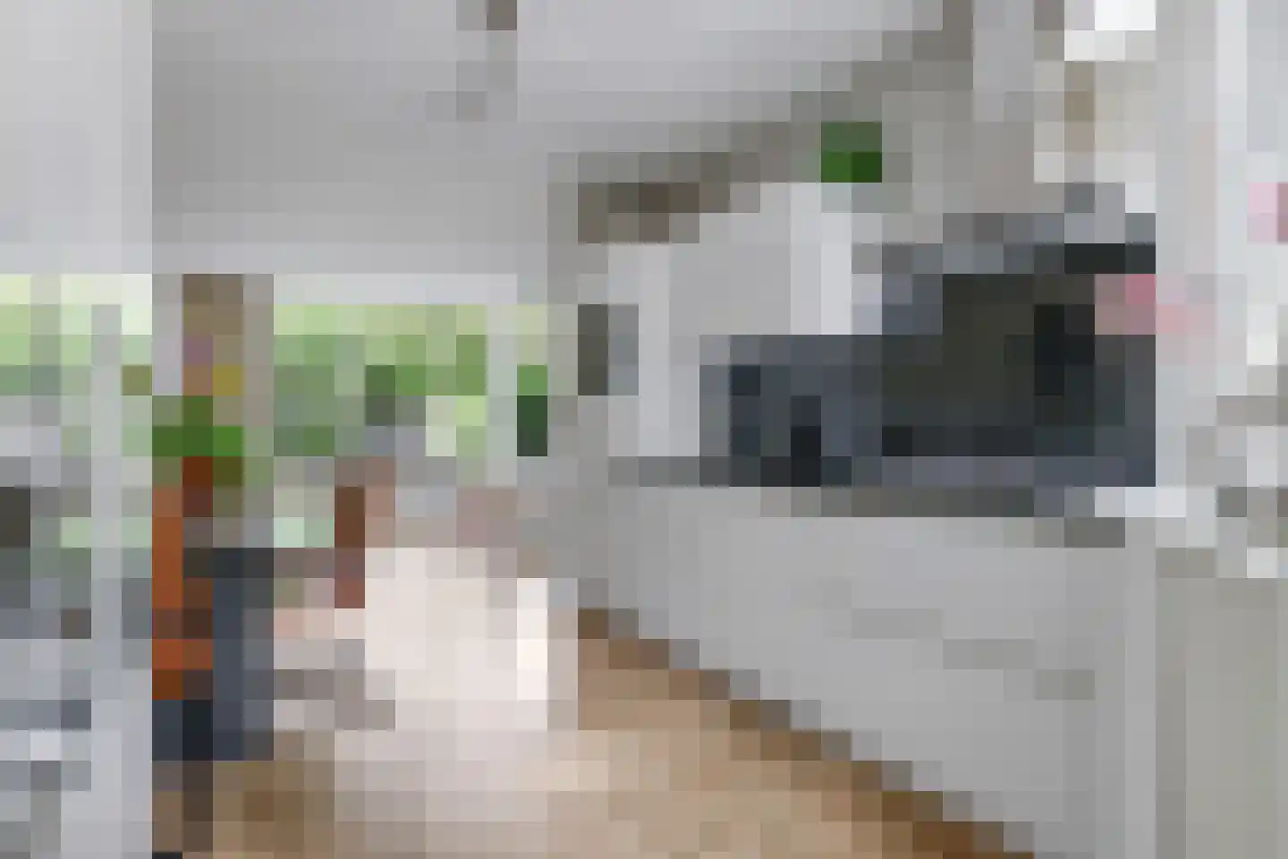 Langakker 33 Gendt thumbnail 23