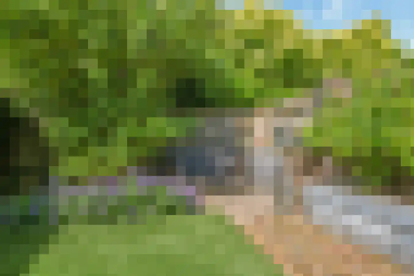 Langakker 33 Gendt thumbnail 29