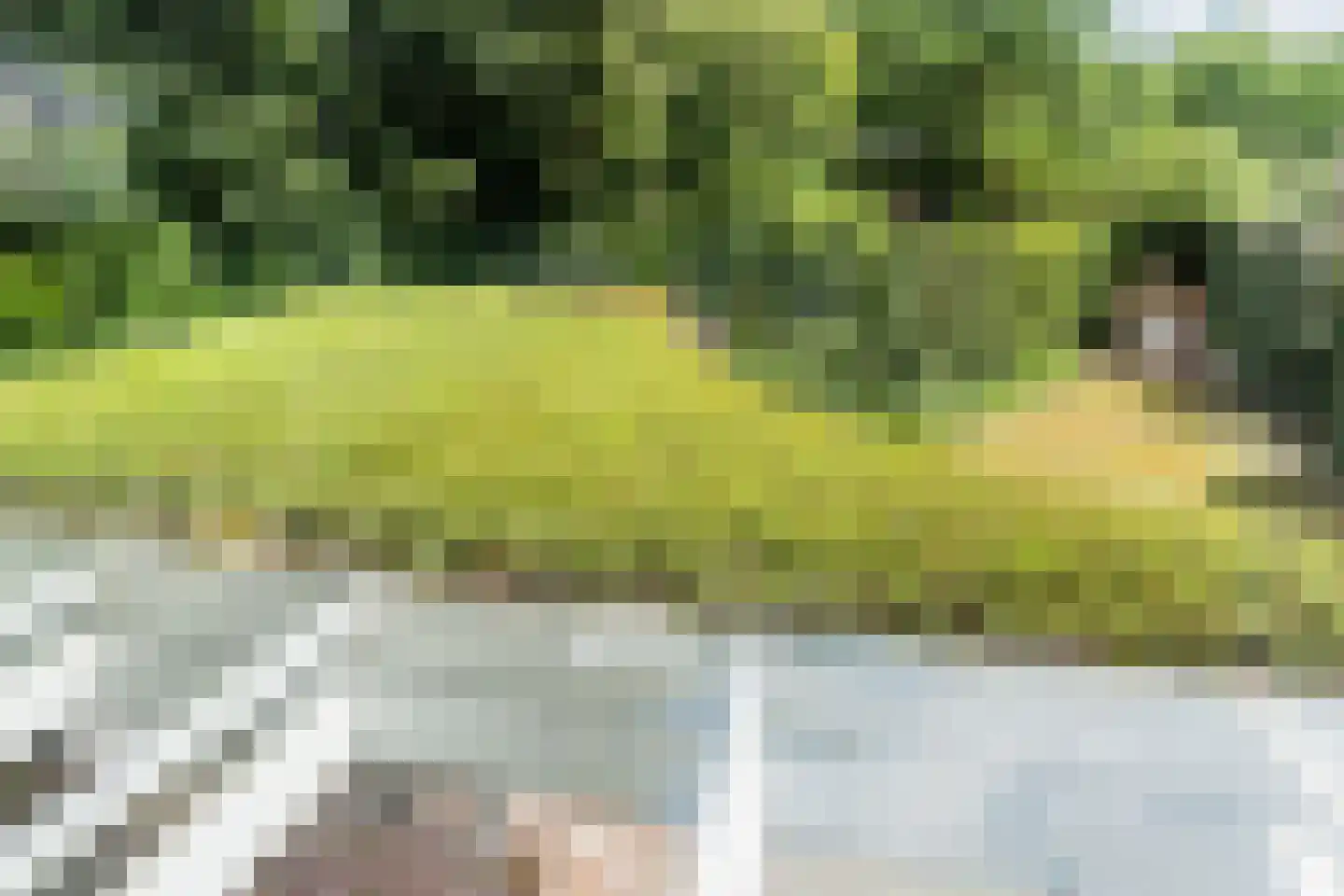 Langakker 36 Boxtel thumbnail 52
