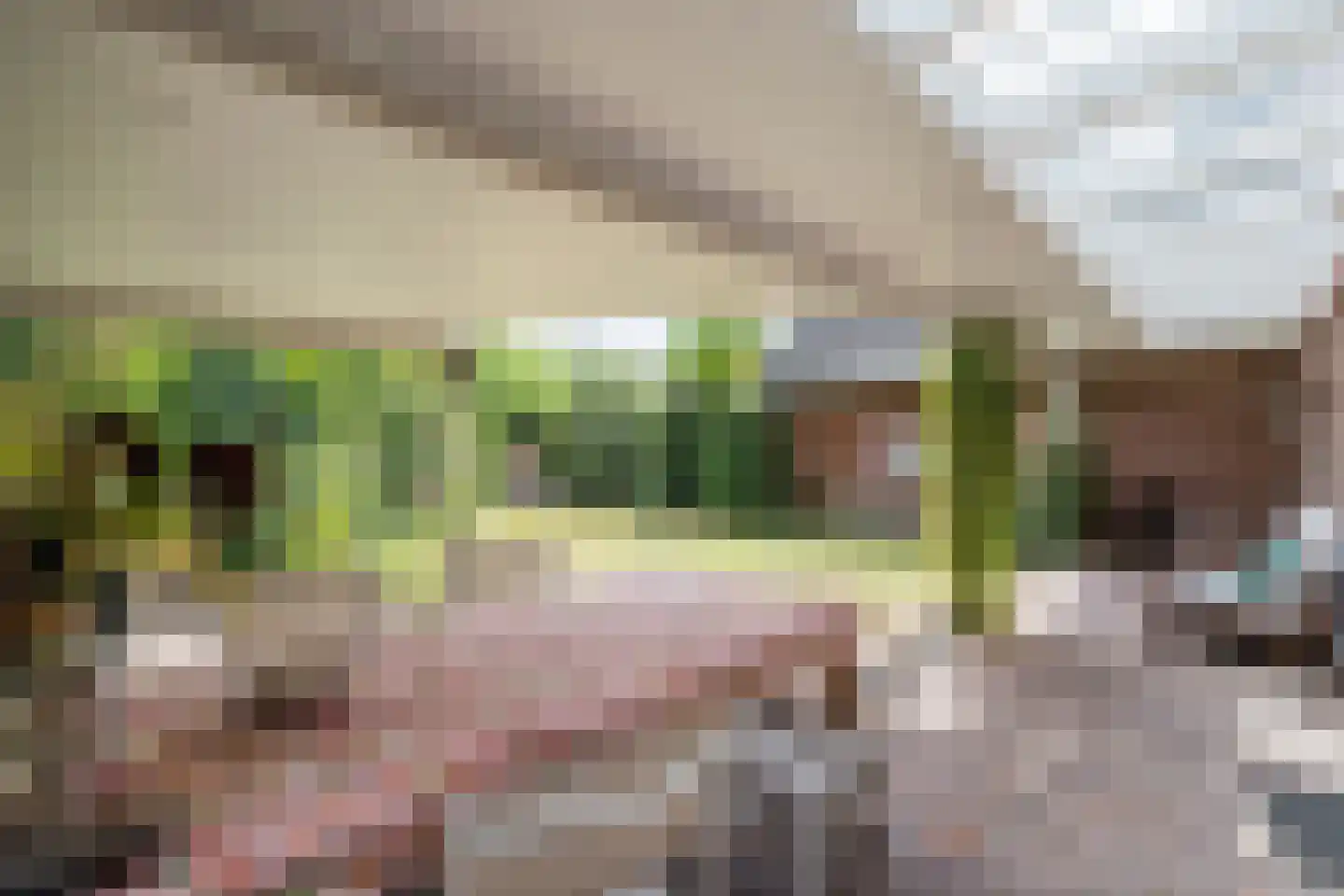 Langakker 36 Boxtel thumbnail 55