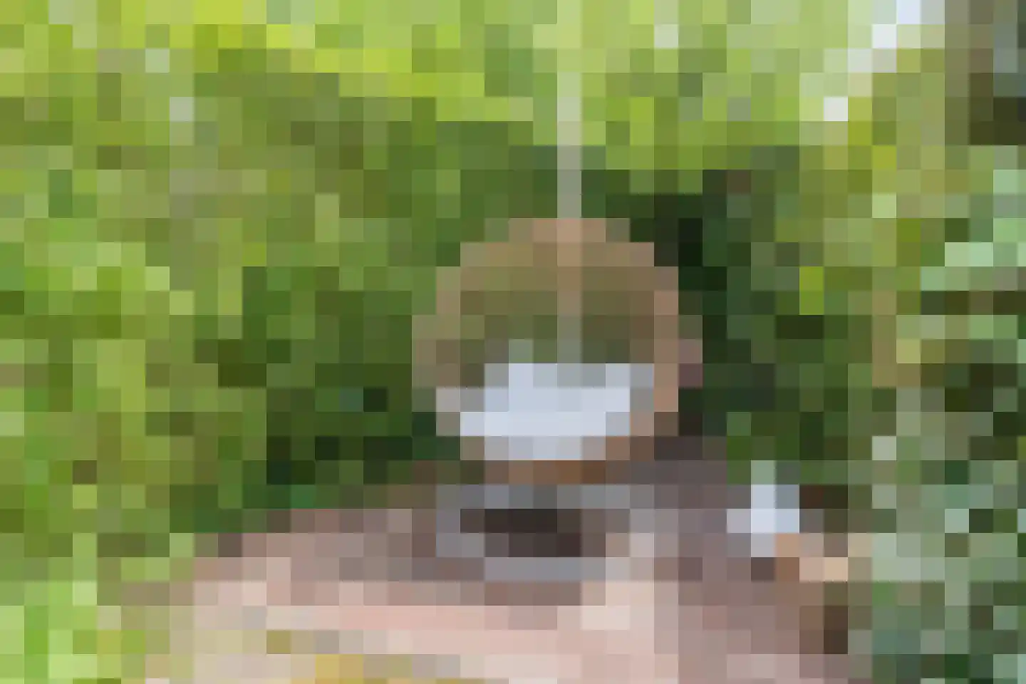 Langakker 36 Boxtel thumbnail 63
