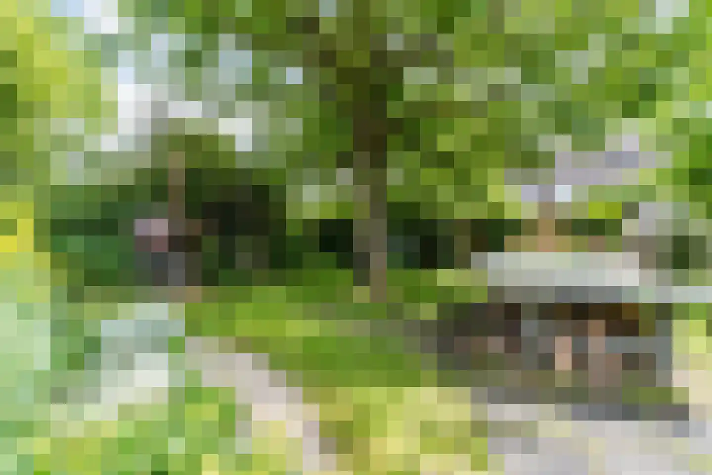 Langakker 36 Boxtel thumbnail 64