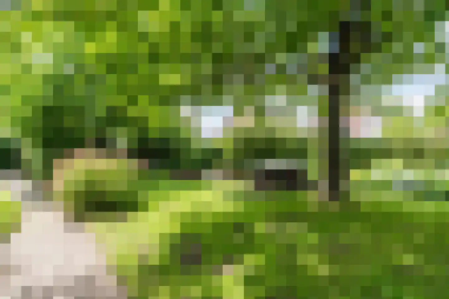 Langakker 36 Boxtel thumbnail 67