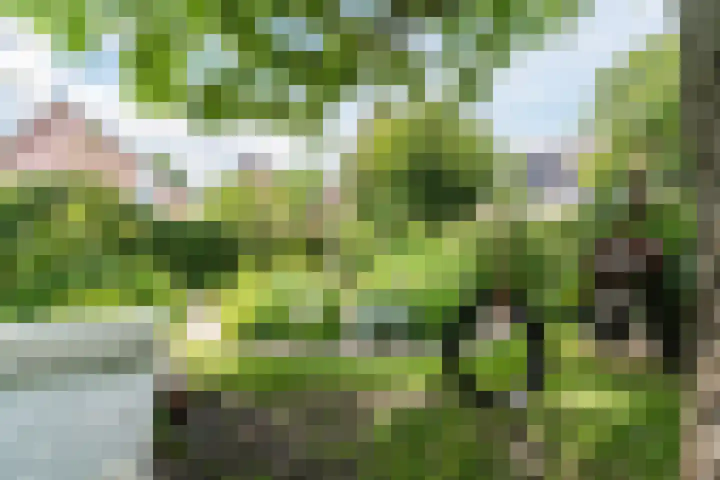 Langakker 36 Boxtel thumbnail 68