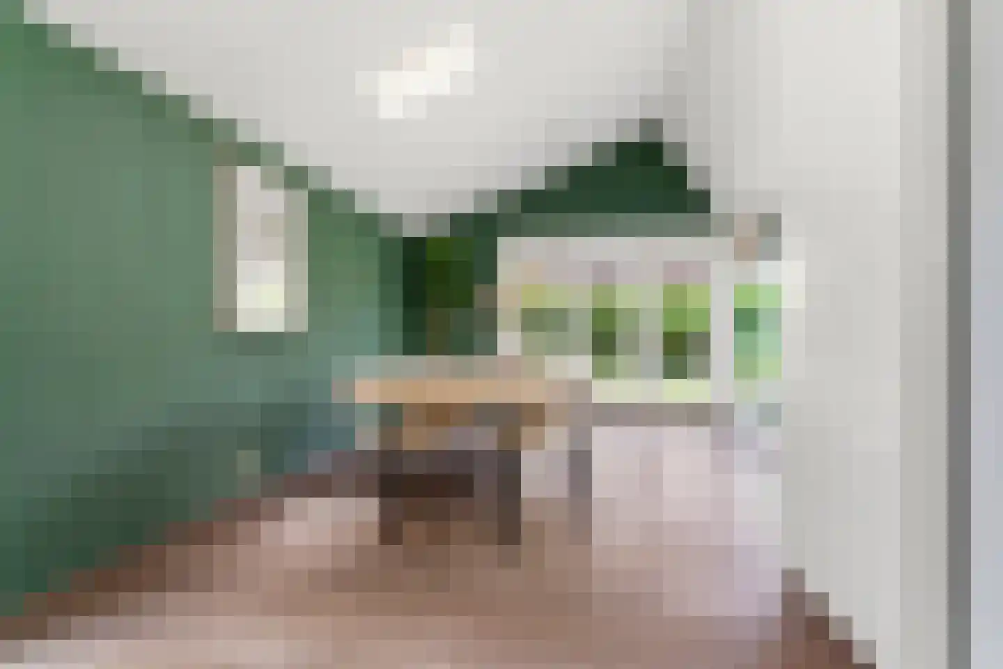 Langakker 36 Gendt foto 3