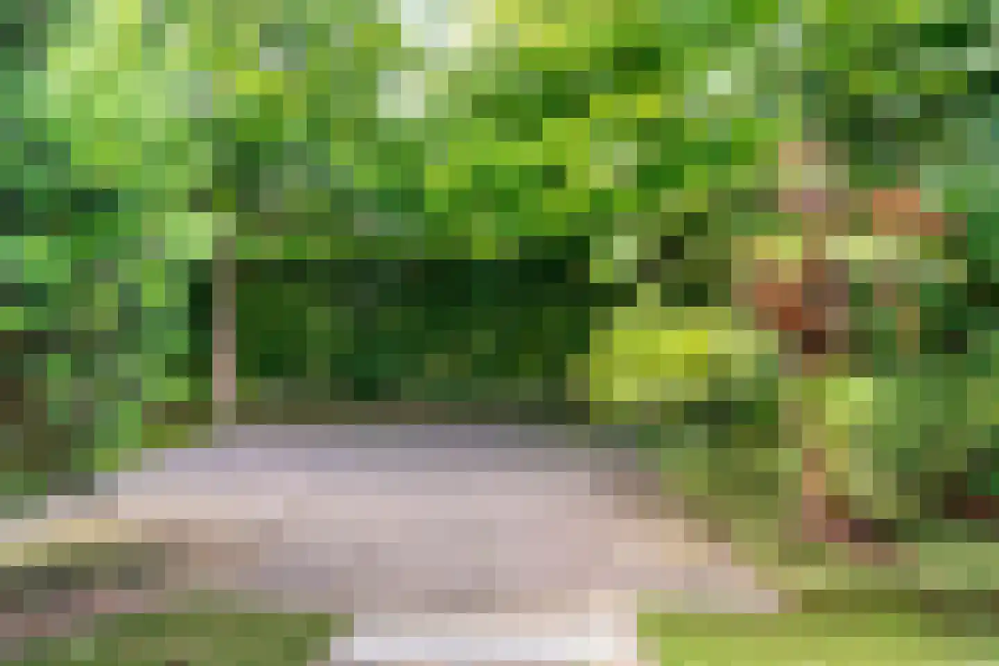 Langakker 36 Gendt thumbnail 45