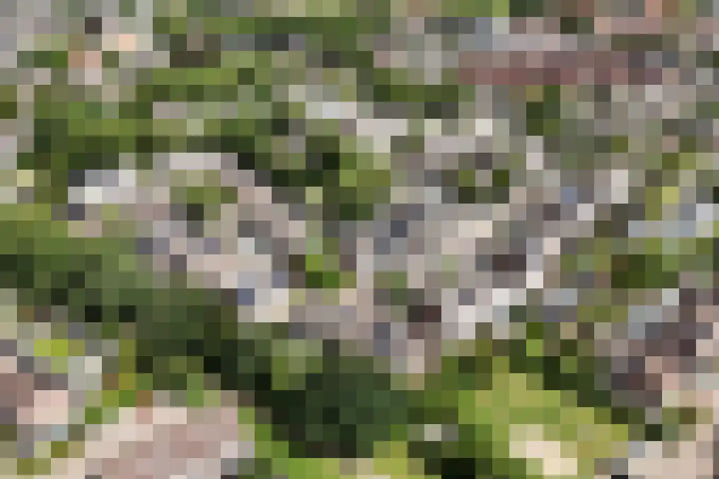 Langakker 36 Gendt thumbnail 56