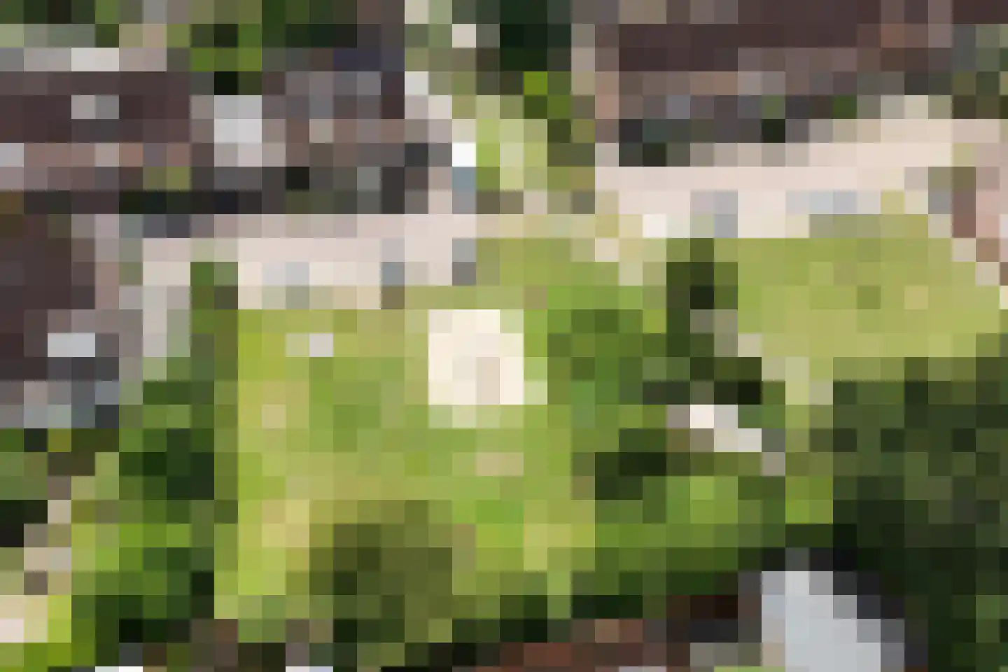 Langakker 36 Gendt thumbnail 57