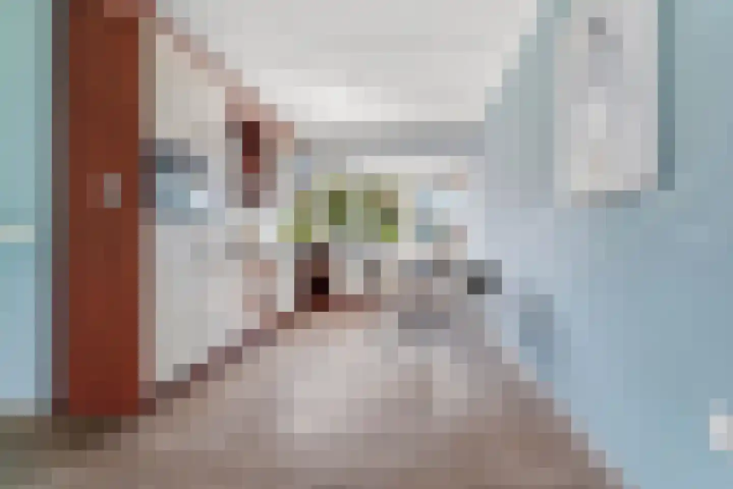 Langakker 36 Gendt thumbnail 9