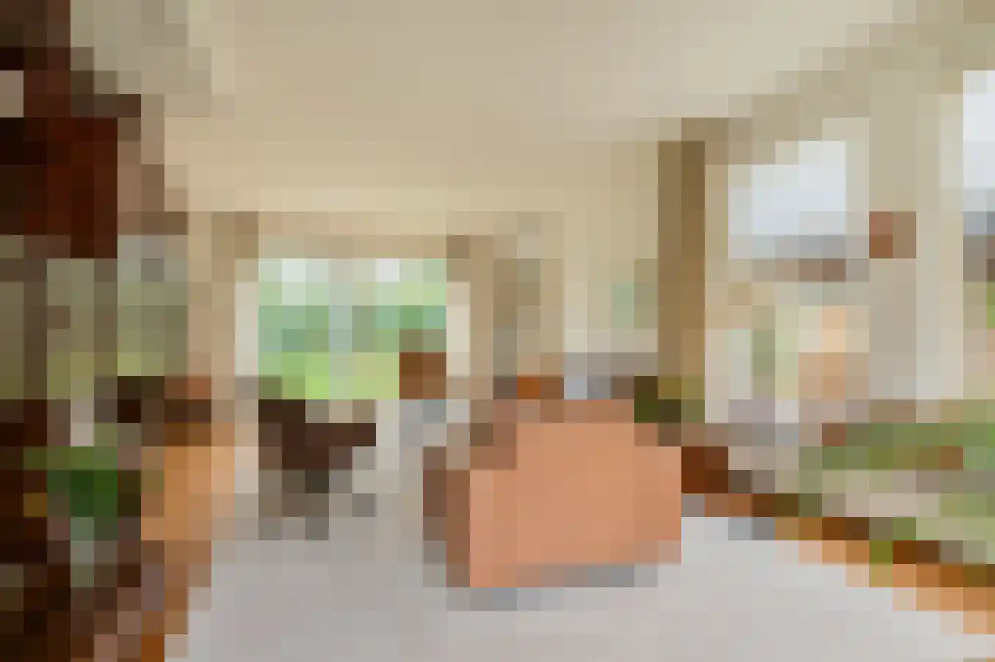 Langakkers 1 Schipborg thumbnail 12