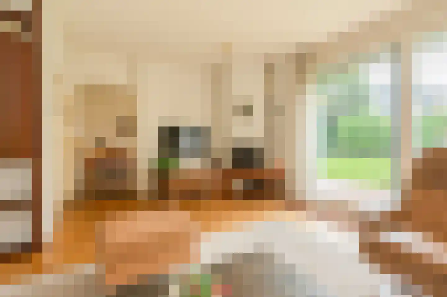 Langakkers 1 Schipborg thumbnail 14