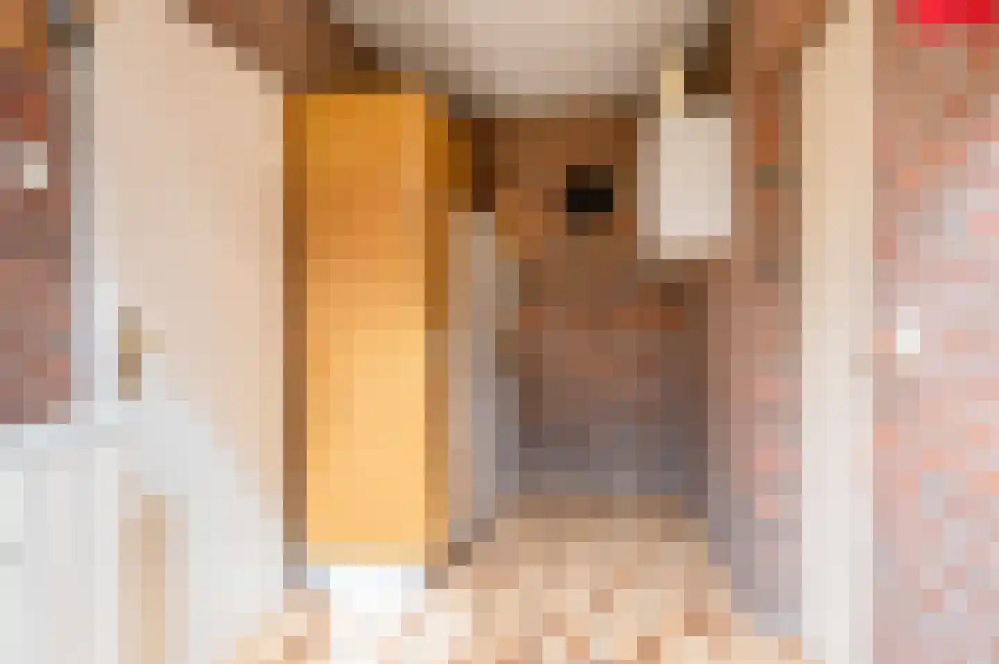Langakkers 1 Schipborg thumbnail 19