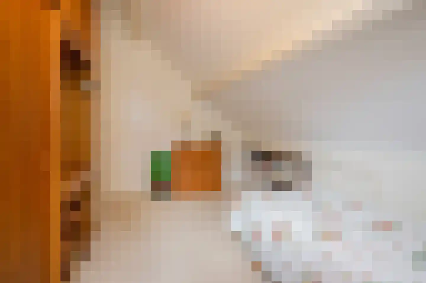Langakkers 1 Schipborg thumbnail 37