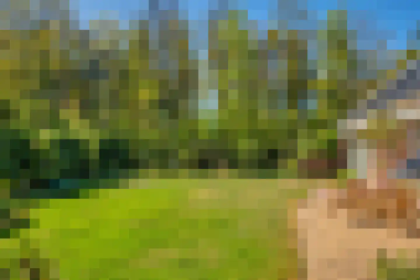 Langakkers 1 Schipborg thumbnail 42