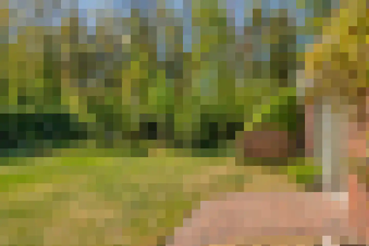 Langakkers 1 Schipborg thumbnail 43