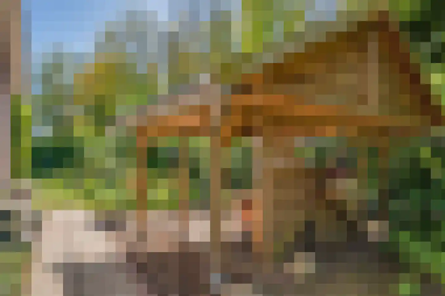 Langakkers 1 Schipborg thumbnail 50