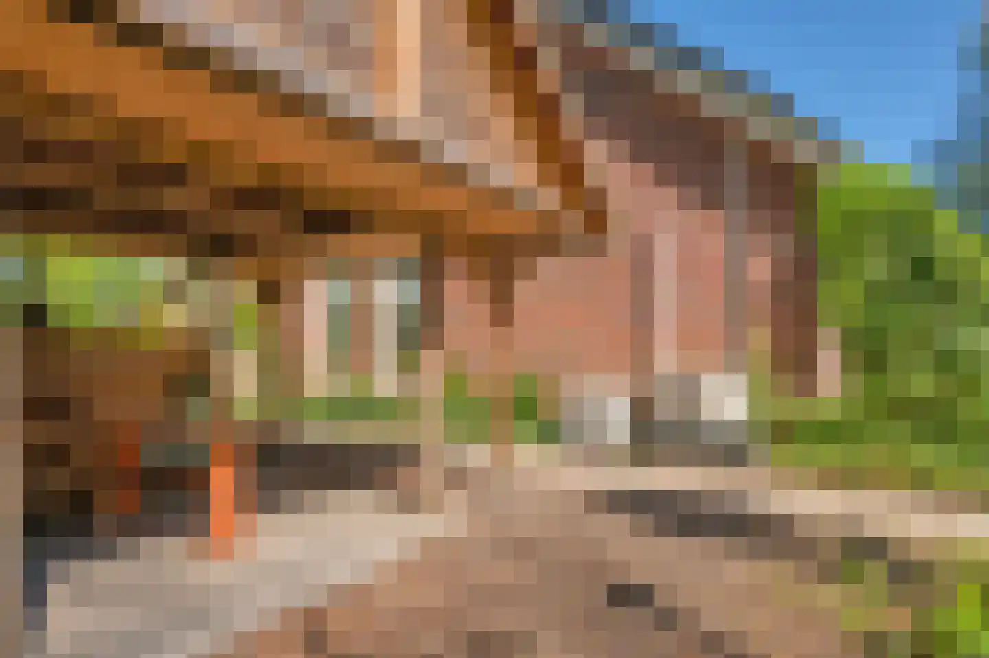 Langakkers 1 Schipborg thumbnail 51