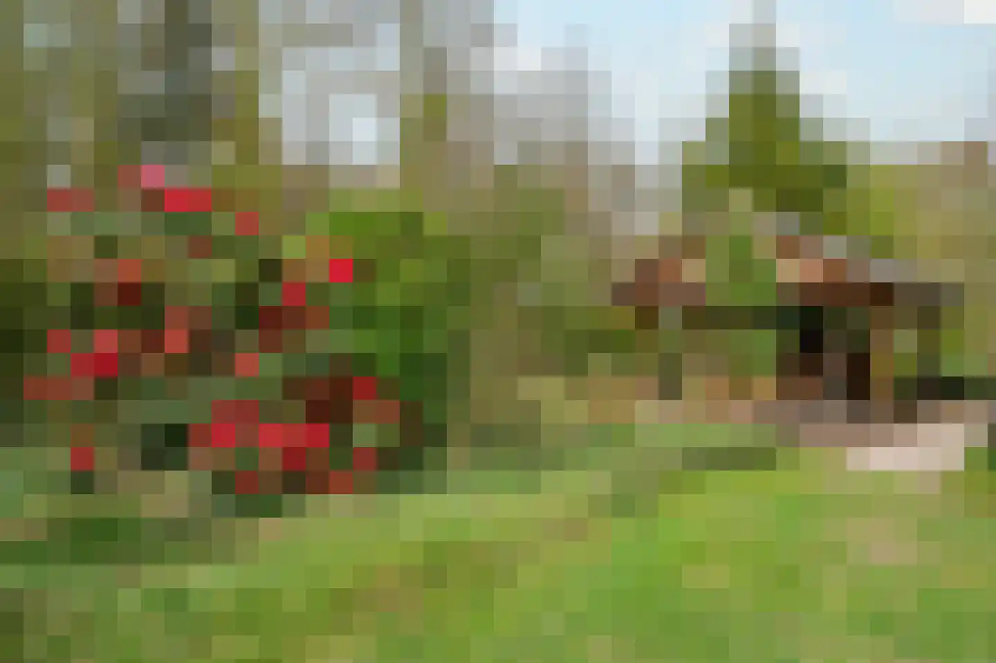 Langakkers 1 Schipborg thumbnail 53