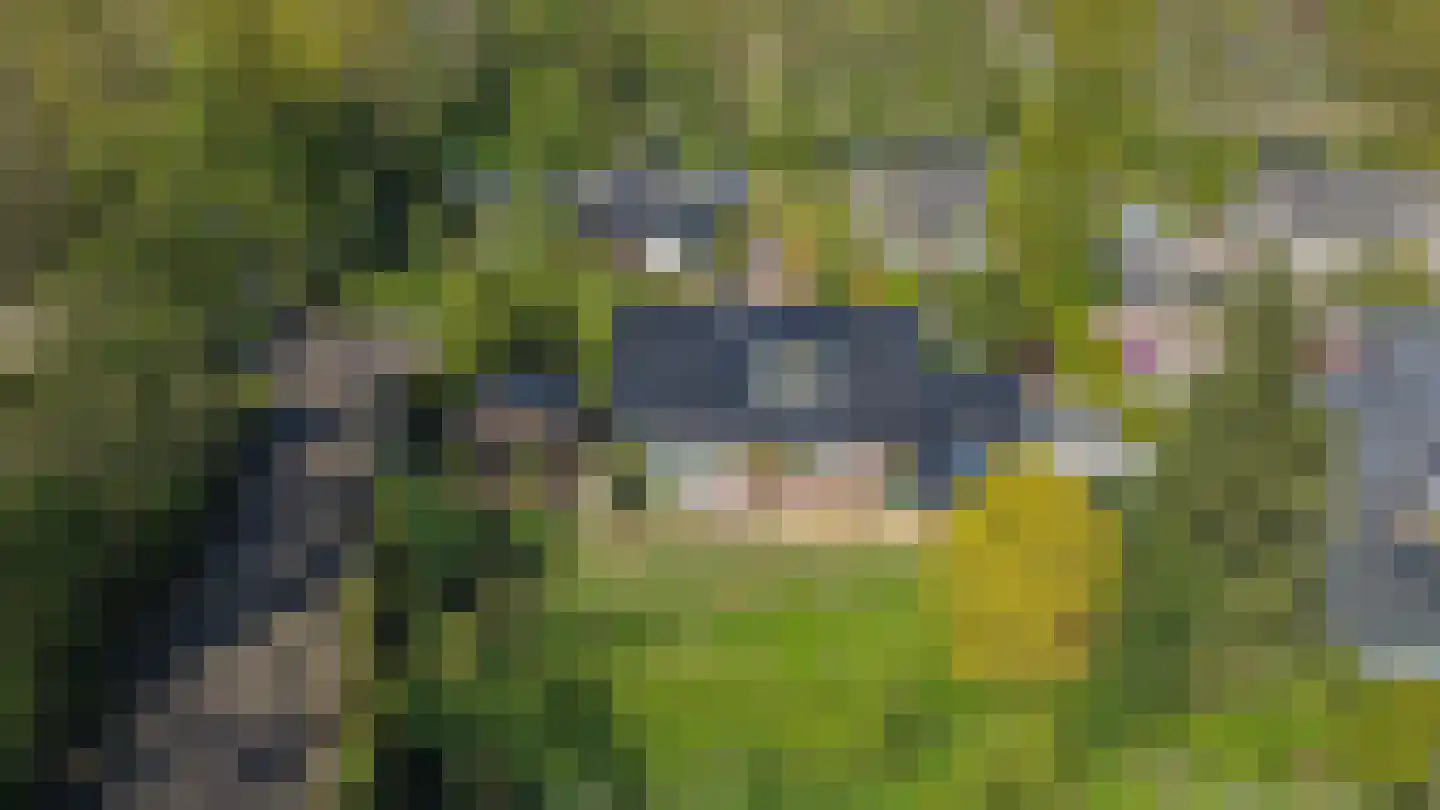 Langakkers 1 Schipborg thumbnail 56