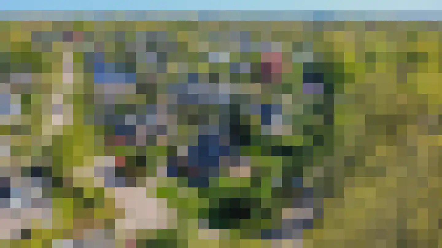 Langakkers 1 Schipborg thumbnail 57