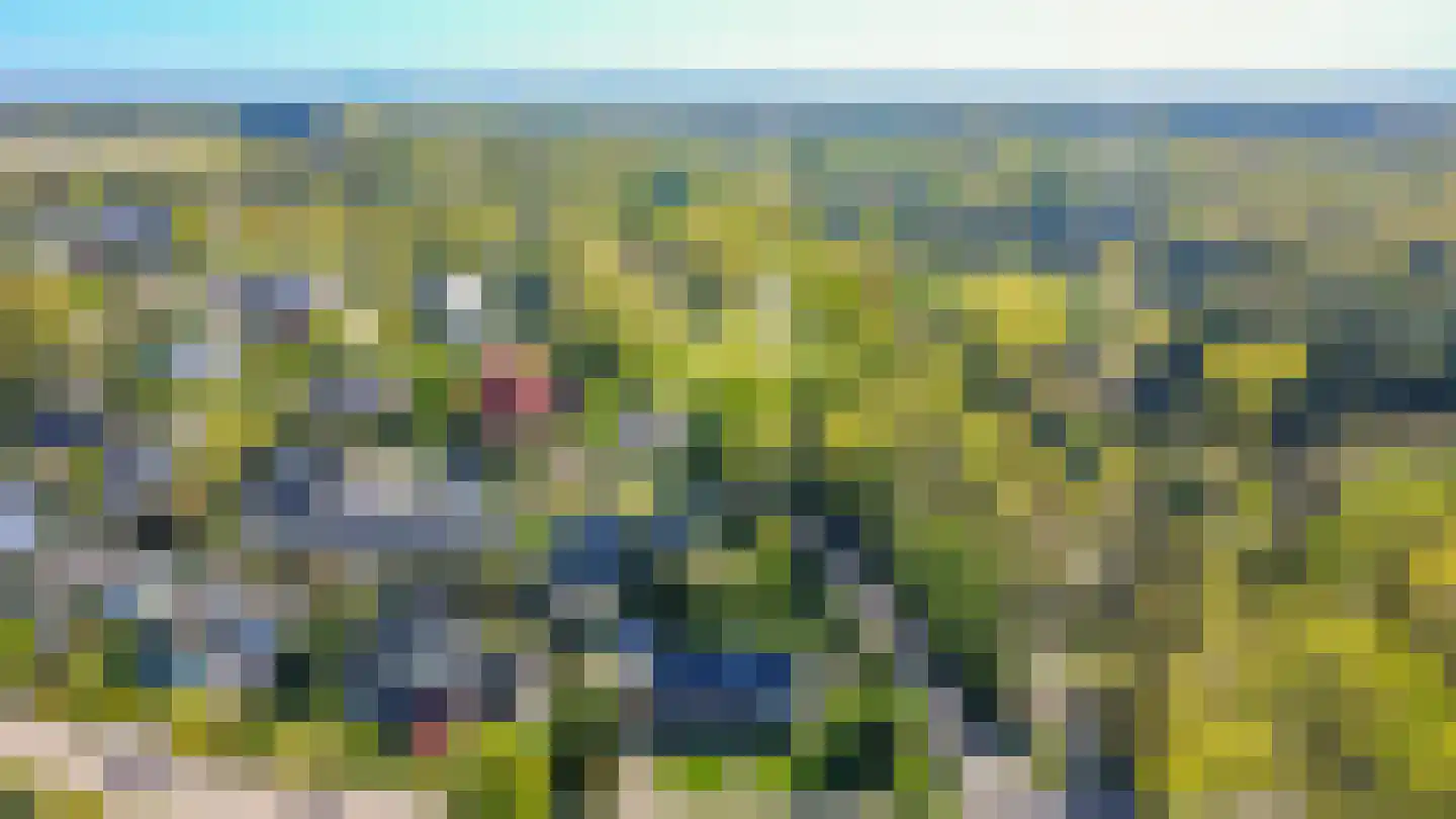 Langakkers 1 Schipborg thumbnail 59