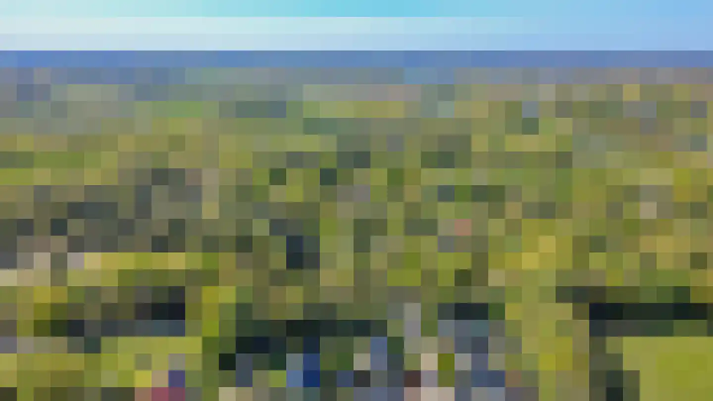 Langakkers 1 Schipborg thumbnail 60