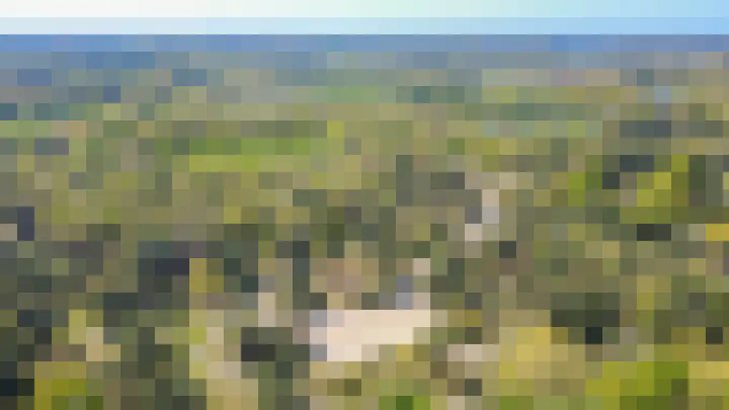 Langakkers 1 Schipborg thumbnail 61