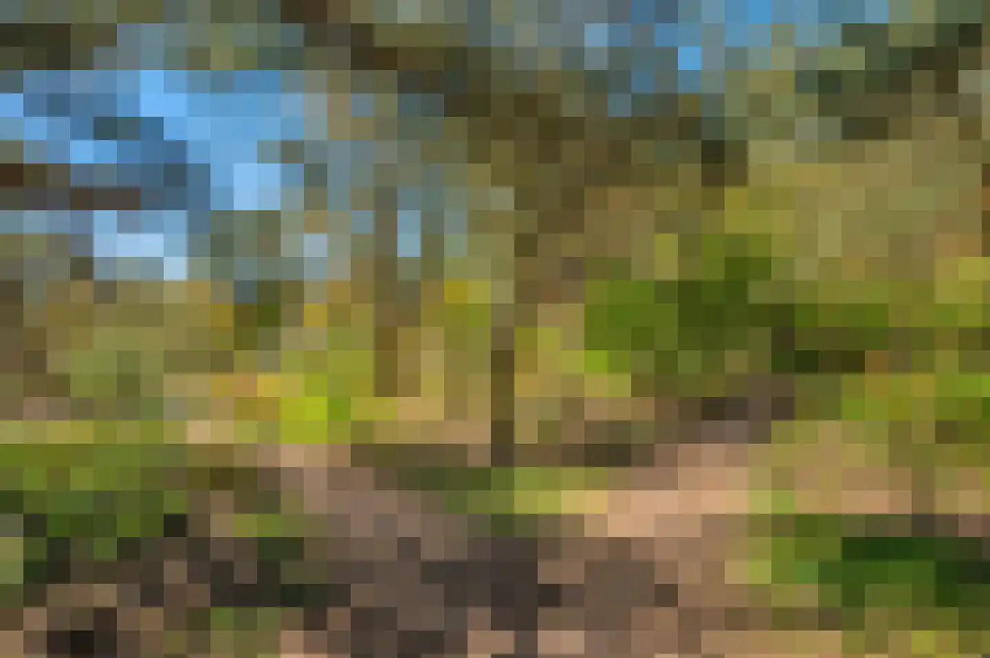Langakkers 1 Schipborg thumbnail 64