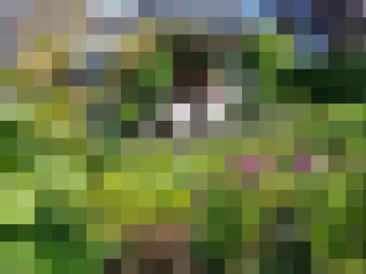 Langakkers 15 Schipborg thumbnail 10