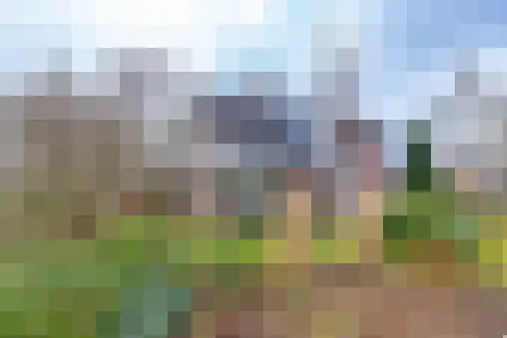 Langakkers 15 Schipborg thumbnail 11
