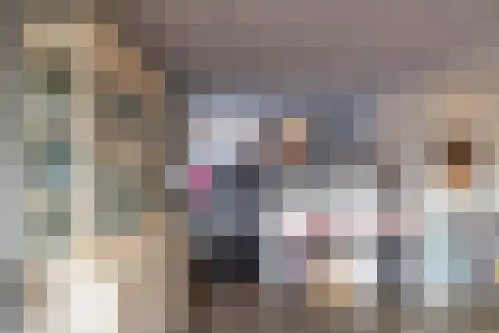 Langakkers 15 Schipborg thumbnail 20