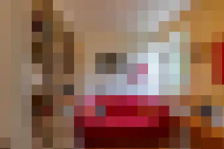 Langakkers 15 Schipborg thumbnail 25