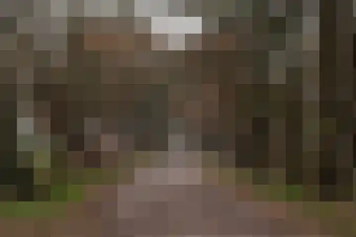 Langakkers 15 Schipborg thumbnail 38