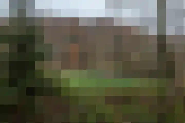 Langakkers 15 Schipborg thumbnail 39