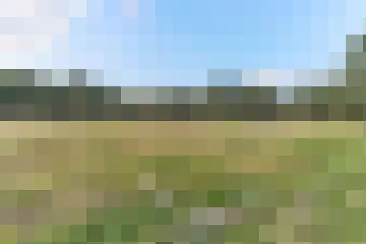 Langakkers 15 Schipborg thumbnail 42