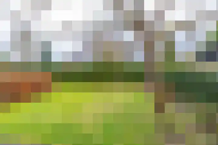 Langakkers 15 Schipborg thumbnail 5