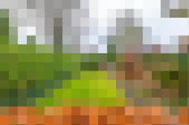 Langakkers 15 Schipborg thumbnail 7
