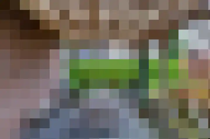 Langakkers 15 Schipborg thumbnail 8