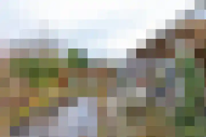 Langakkers 15 Schipborg thumbnail 9