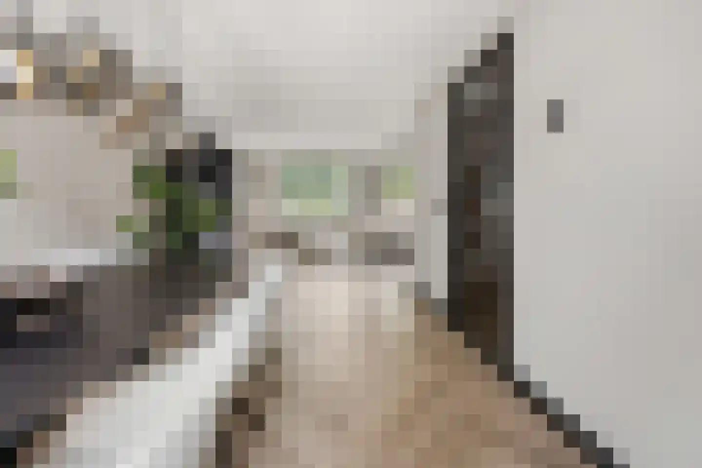 Langakkers 18 Druten thumbnail 11