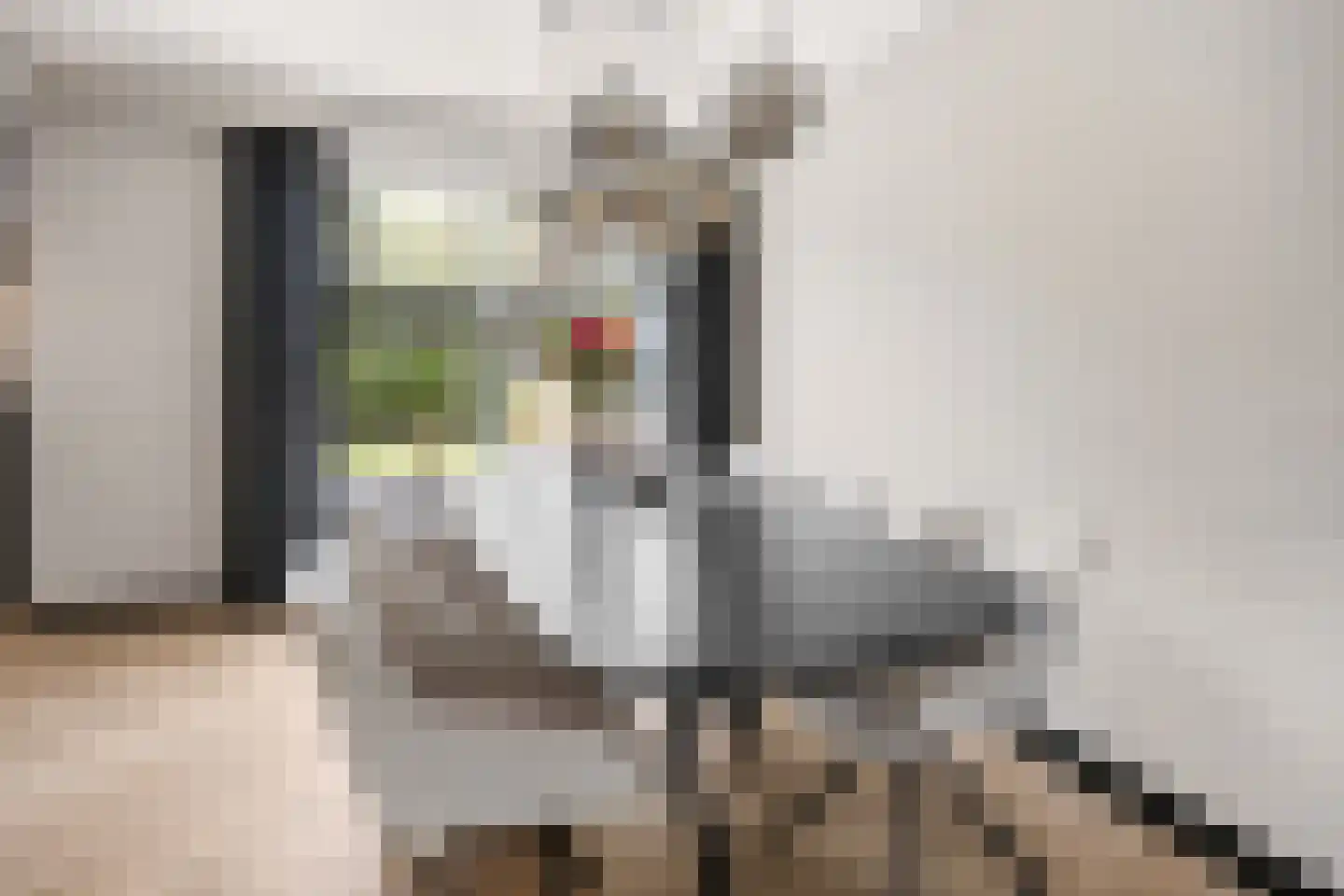 Langakkers 18 Druten thumbnail 14