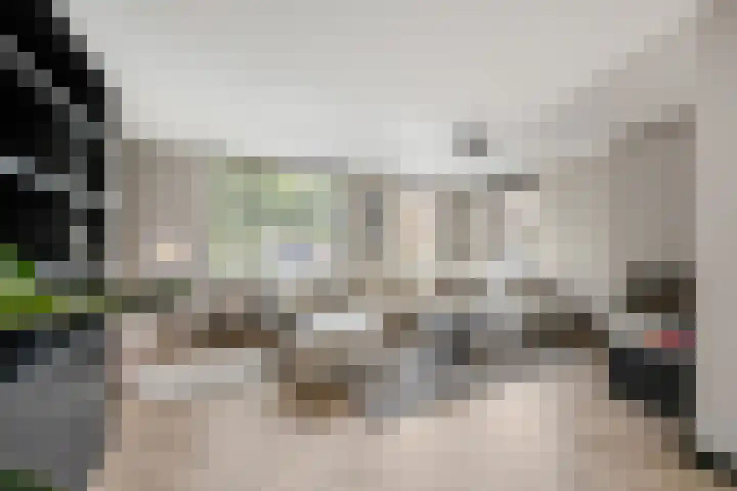 Langakkers 18 Druten foto 2