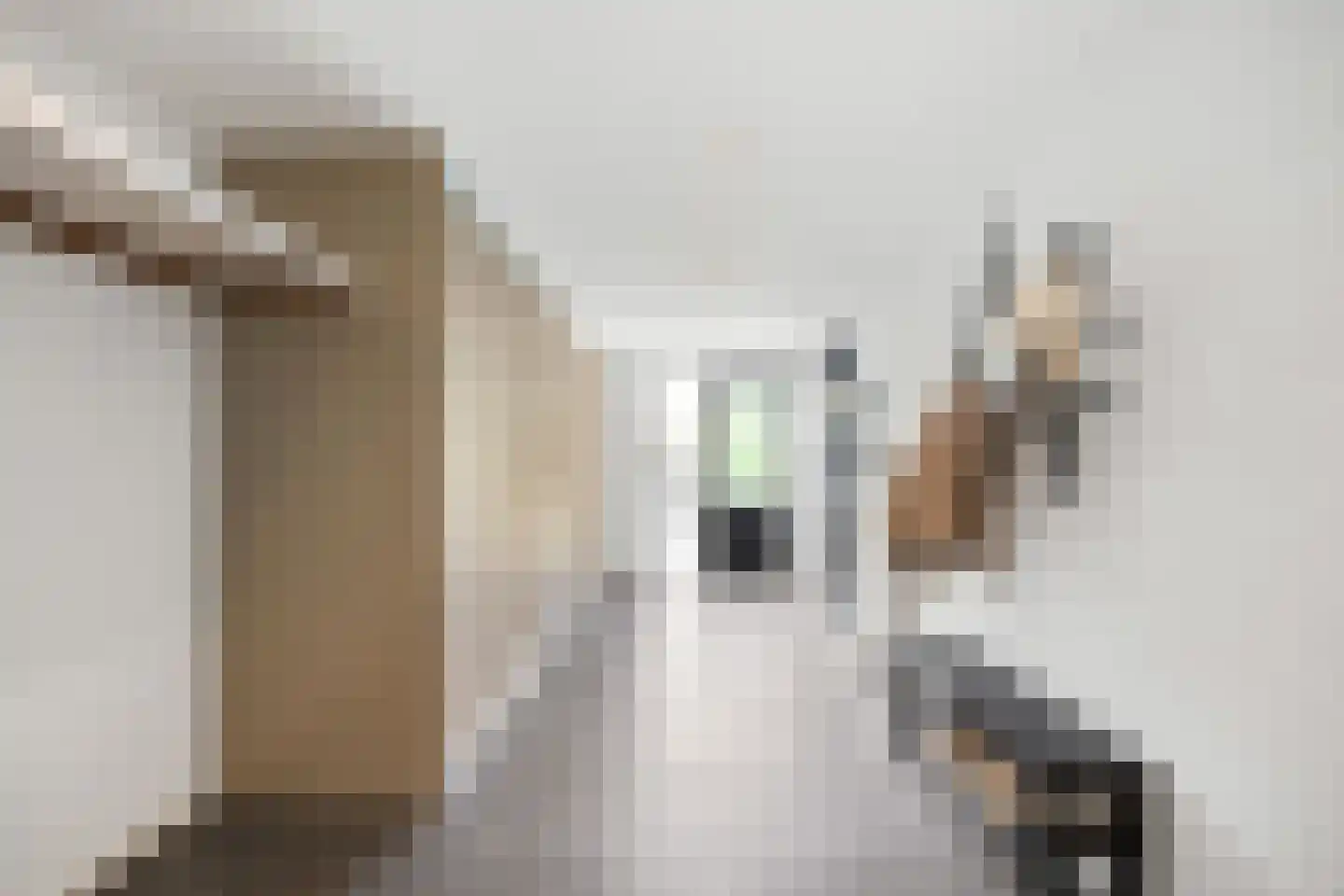 Langakkers 18 Druten thumbnail 22
