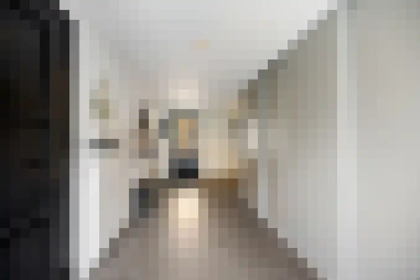 Langakkers 18 Druten thumbnail 23
