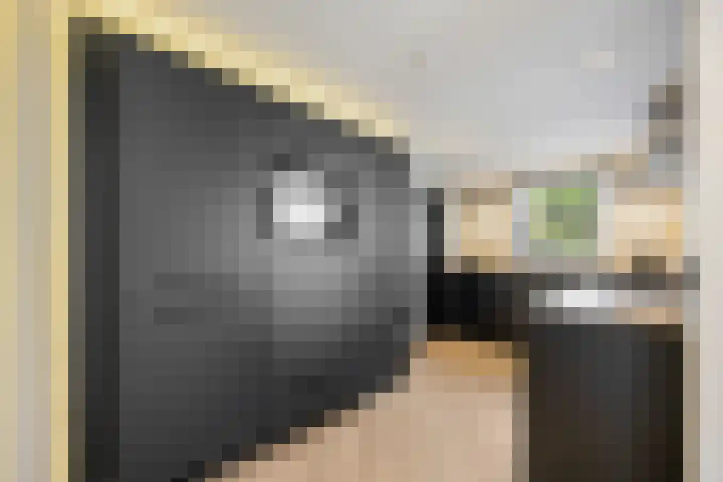 Langakkers 18 Druten foto 3