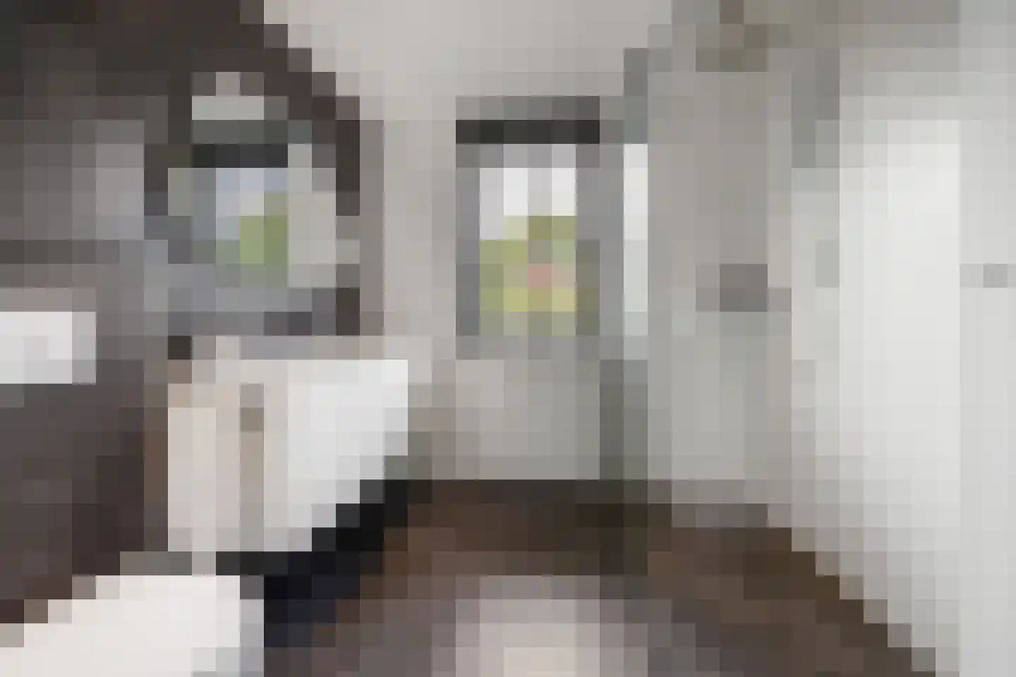 Langakkers 18 Druten thumbnail 37