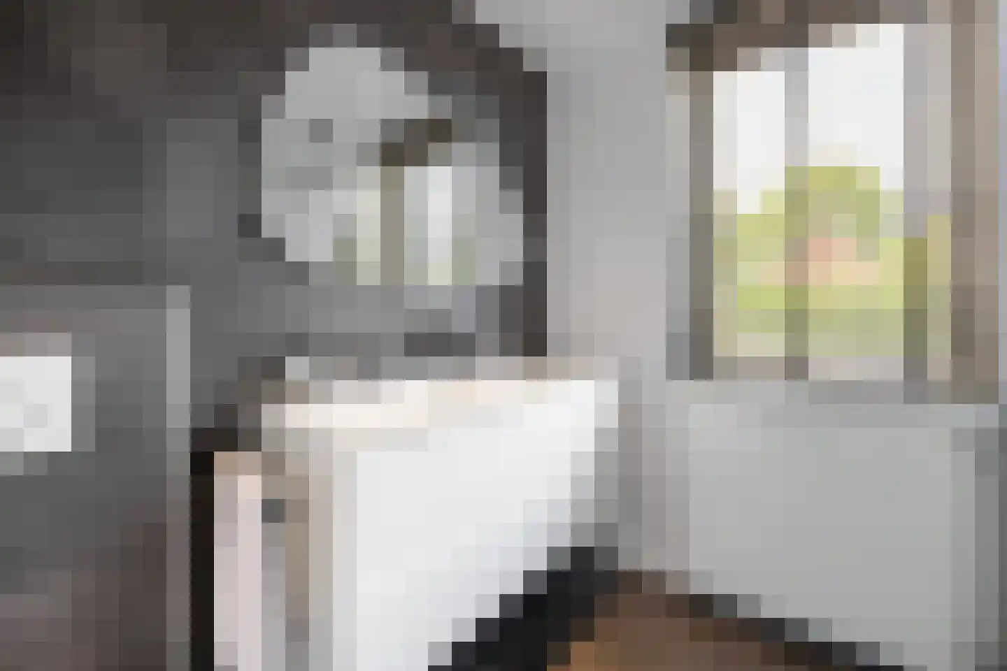 Langakkers 18 Druten thumbnail 38