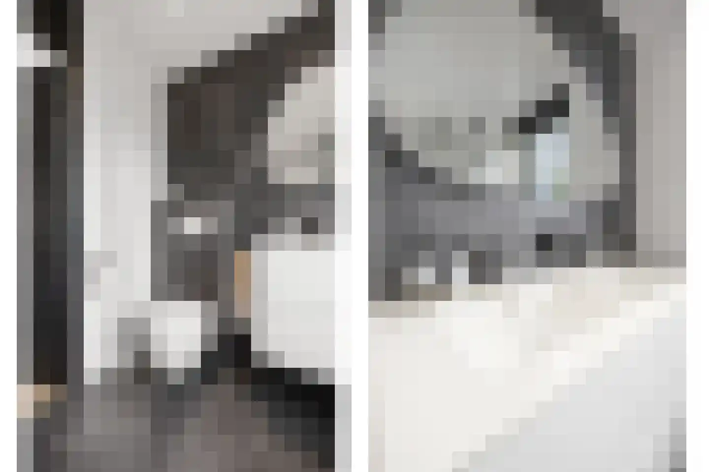 Langakkers 18 Druten thumbnail 39
