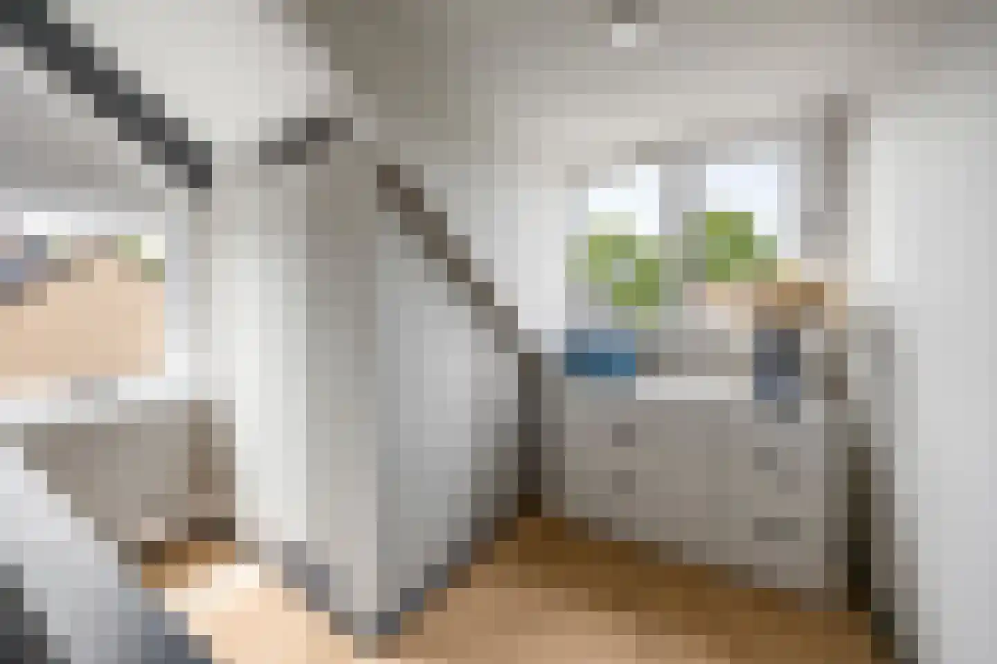 Langakkers 18 Druten thumbnail 42