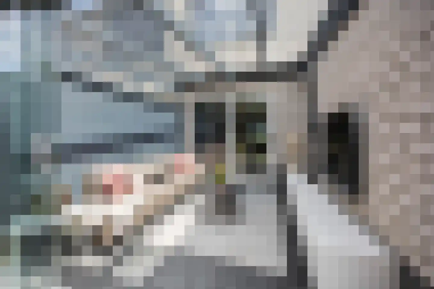 Langakkers 18 Druten thumbnail 46